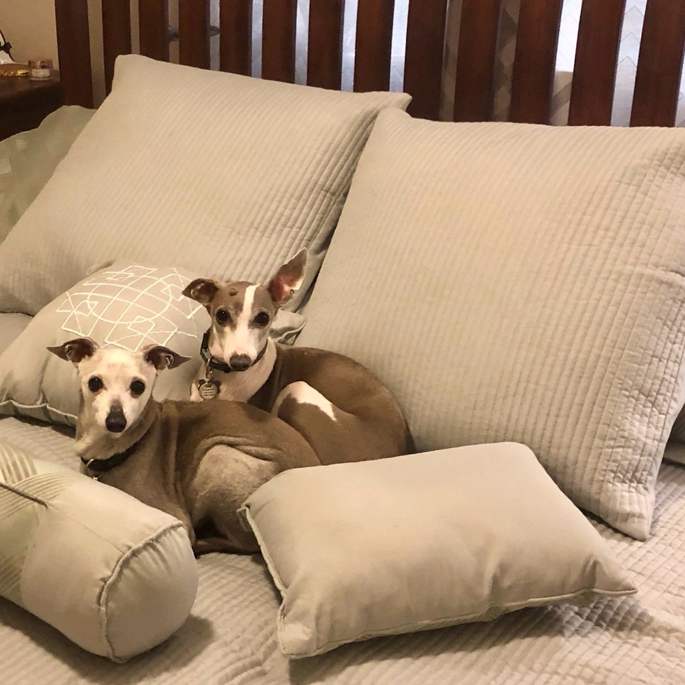 The Real Elle's Angels